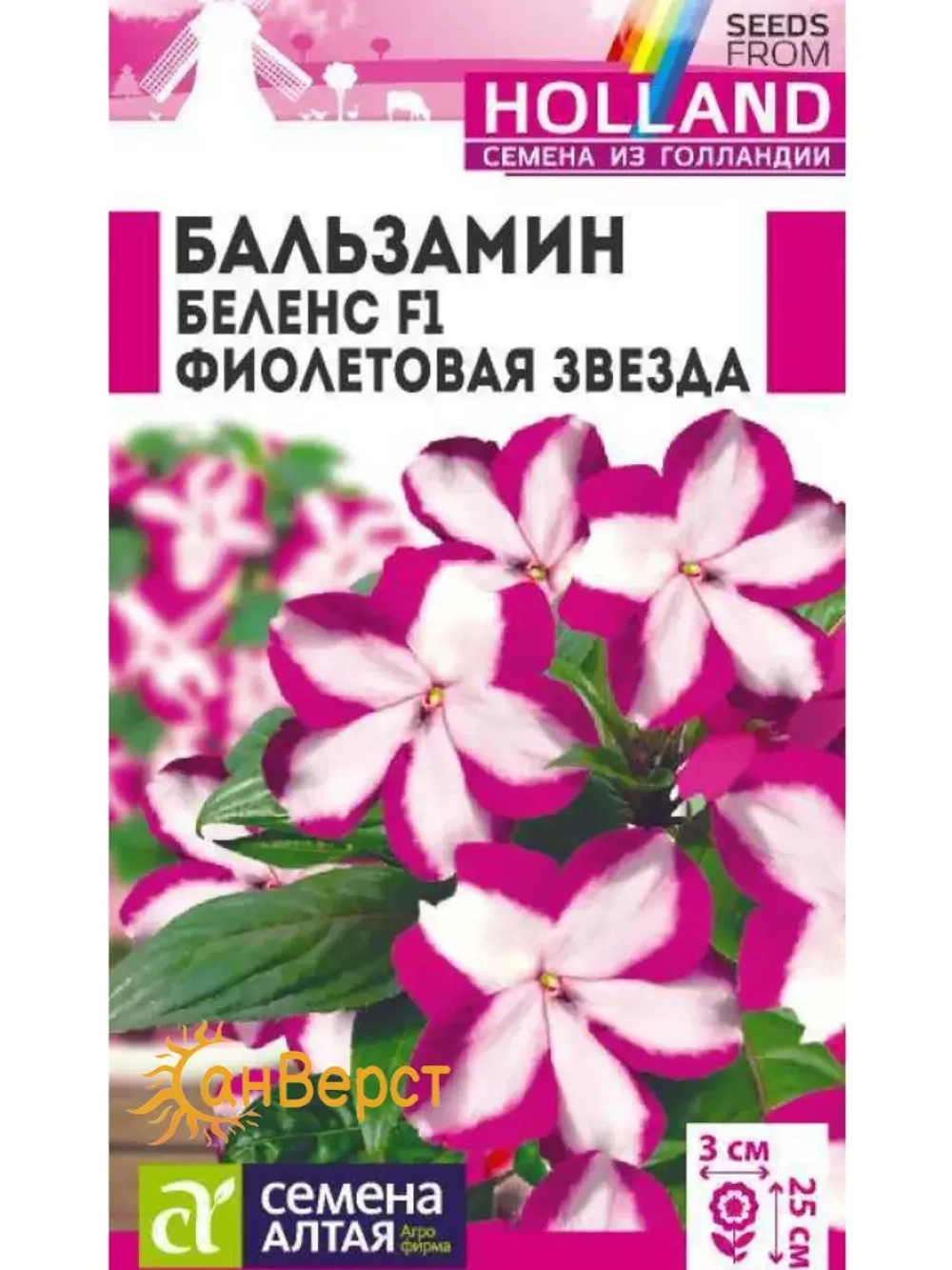 Семена цветов бальзамин Беленс F1 Фиолетовая Звезда