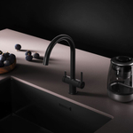 Смеситель для кухни с каналом для питьевой воды, C-излив AM.PM Func F8F07722