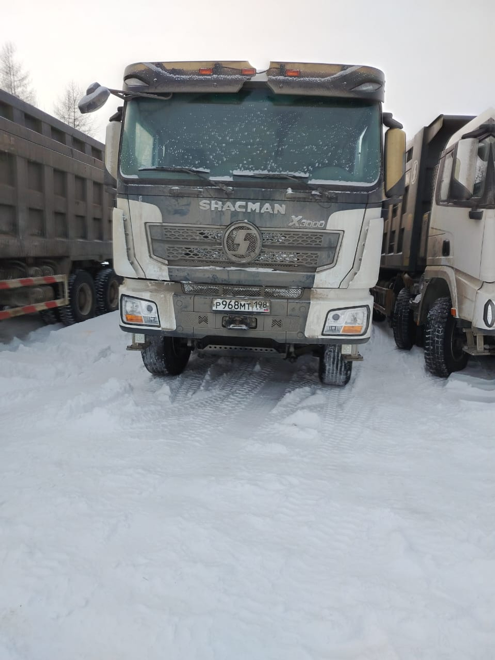 Shacman (Shaanxi) SX* 8x4 Самосвал SX33186W366C (Дизельный, 10,8 л, 441 л.с., МТ)