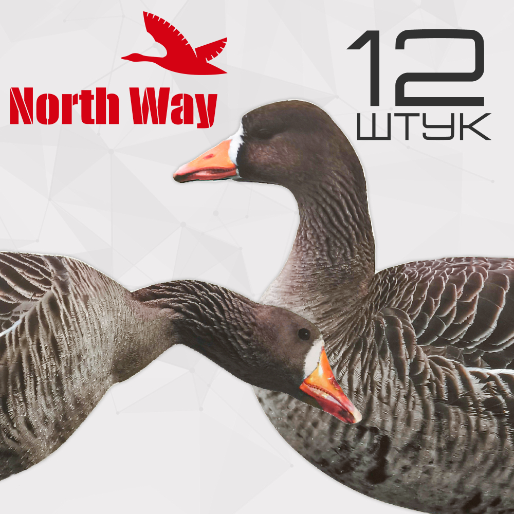 Профиля белолобого гуся North Way