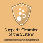 21st Century, Травяной чай для похудения, со вкусом персика и абрикоса, без кофеина, 24 чайных пакетика, 48 г (1,7 унции)