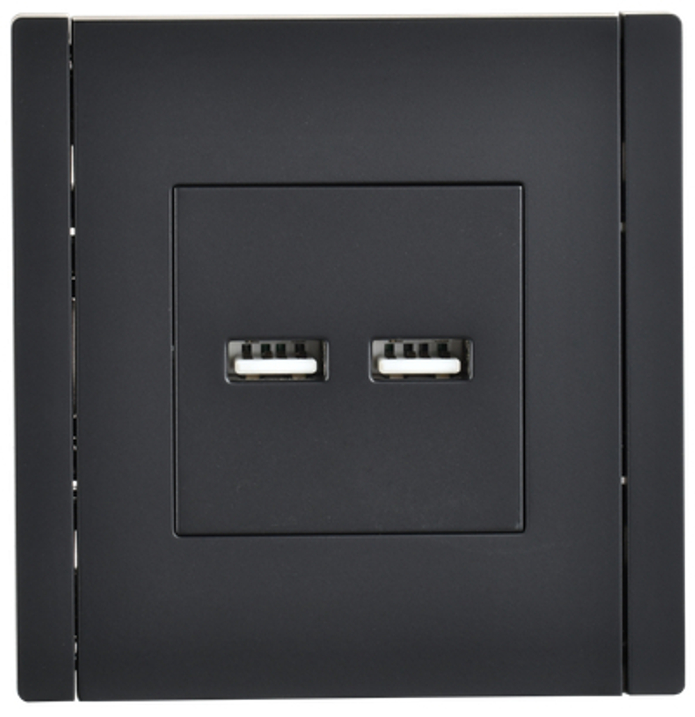 FORTE&PIANO Розетка USB A+A 3,1А FP149 черный IEK
