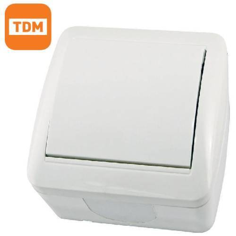 Выключатель 1кл IP44 10A (белый) Селигер TDM SQ1818-0001