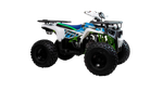 Квадроцикл TAO MOTOR SHARK 125 PRO