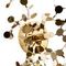Бра Lightstar Extra 721632