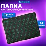 Папка для тетрадей BRAUBERG А4, 1 отделение, пластик, на zip-lock-молнии, "Dino matrix", 272106