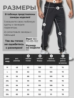 Брюки спортивные джоггеры
