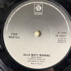Винтажная виниловая пластинка LP Lena Martell One Day At A Time (UK 1979) 7 дюймов, 45 RPM, Single