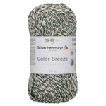 Пряжа Schachenmayr Color Breeze (86)