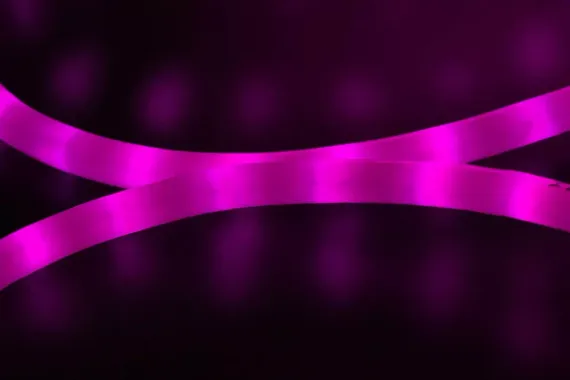 Дюралайт светодиодный 2-х проводной, диаметр 13 мм., 220В, розовые LED лампы 36 шт на 1 м., бухта 100 м., матовый, статика, Teamprof (TPF-DL-2WHM-100-240-P)