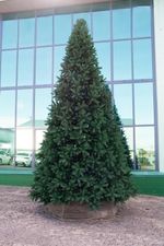 большая новогодняя елка искусственная. литая хвоя "Клеопатра" ствольная