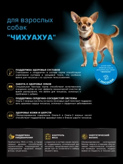 Корм сухой для собак породы Чихуахуа, с лососем, 12 кг