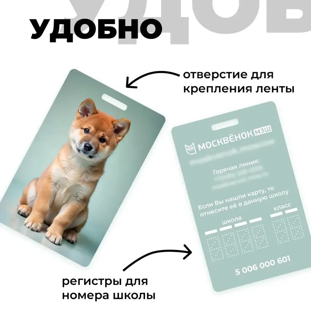 Карта Москвёнок DOGS №2 (проход + питание)