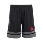 Баскетбольные детские шорты adidas Squadra 25