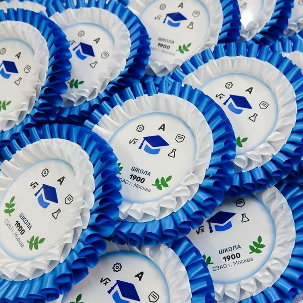 Наградная двухрядная розетки к юбилею школы 200 шт.