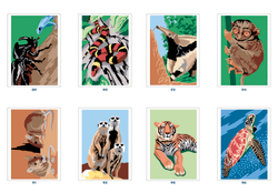 Hachette раскраска по номерам Coloriages mystères - Animaux du monde(предзаказ, дата выпуска 12.03.2025)