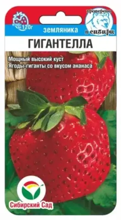 Земляника Гигантелла 10шт (Сиб сад)