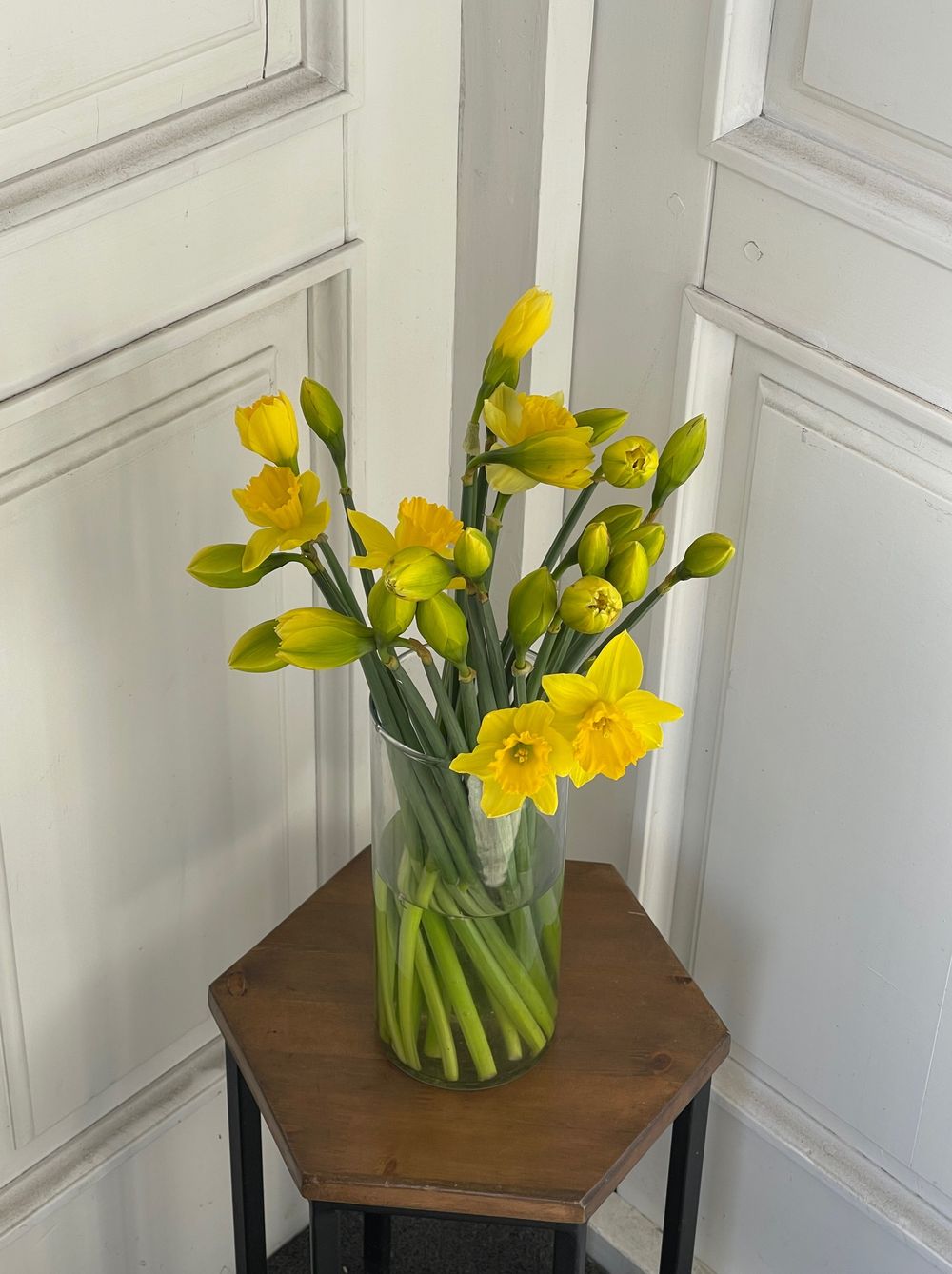 Нарцис желтый