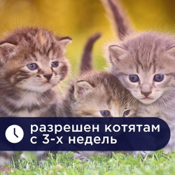 Таблетки от гельминтов для кошек Празител, 2 таб. Празиквантел/Пирантел
