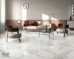 Керамогранит Calacatta Light Grey NTT9121P 600*1200мм полированная