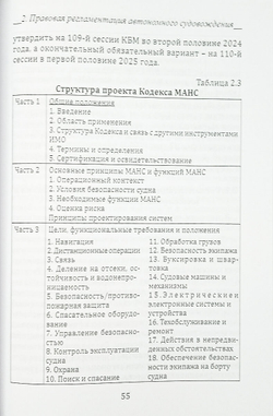 Актуальные проблемы автономного судовождения