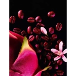 Yves Saint Laurent Black Opium Neon EDP