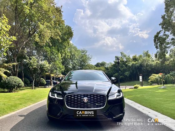 Carbins Black SG A01 PPF черная полиуретановая защитная антигравийная пленка