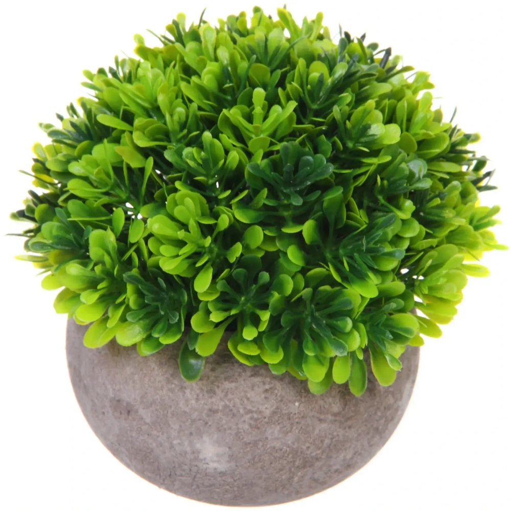 Цветочная композиция «Green garden» 10*12см в горшке, листики