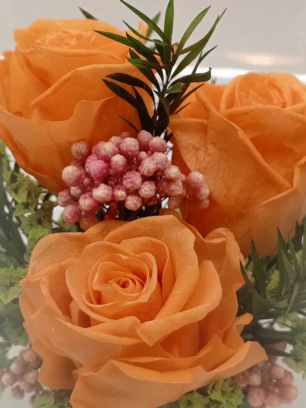 натуральные кустовые розы в стекле, вакуум*