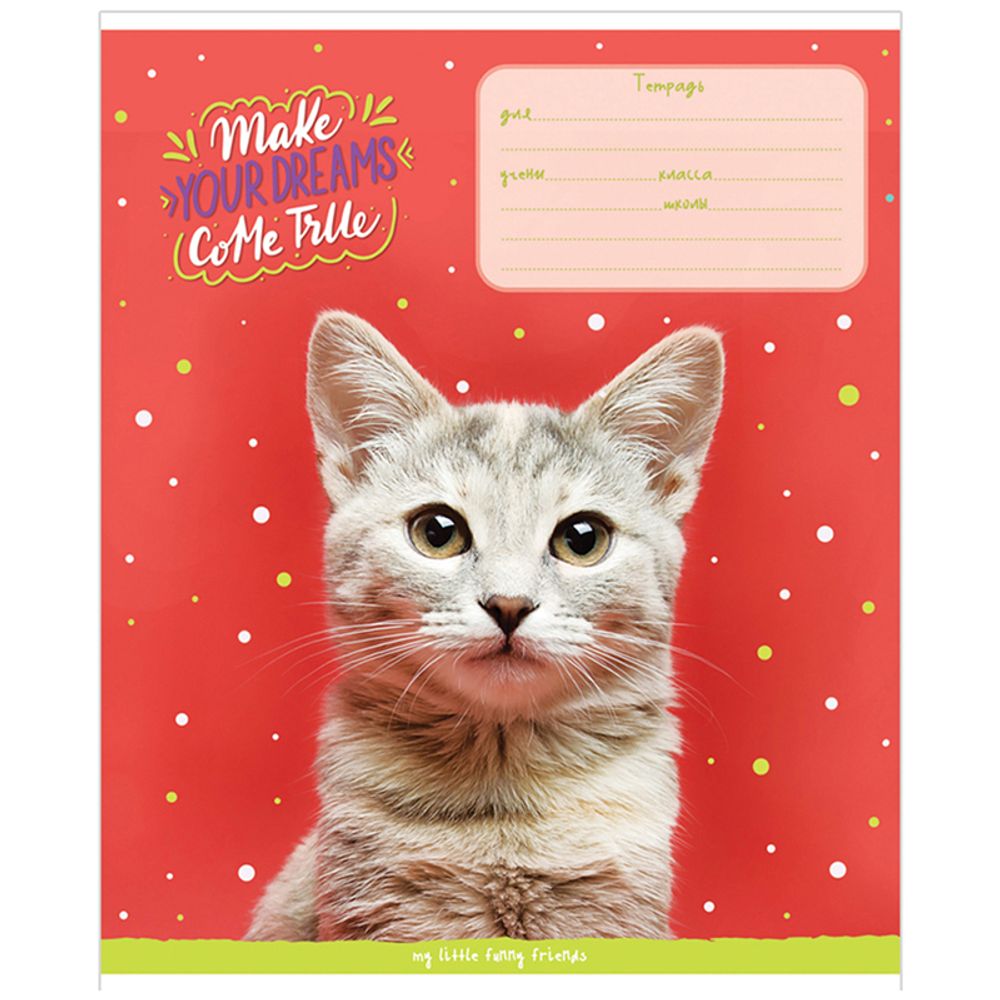Тетрадь 18л, линия, Спейс Питомцы. Funny cats
