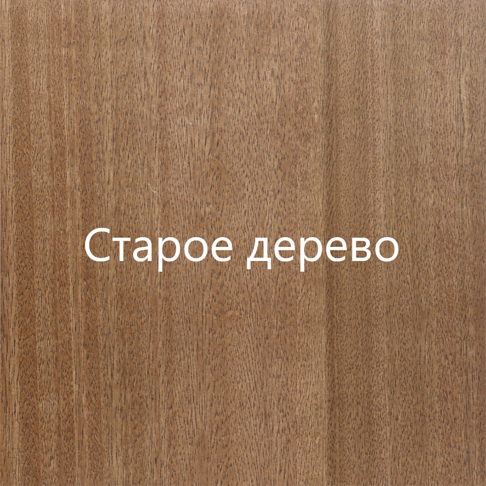 Эвкалипт