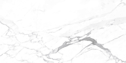 Carrara Terrific Silver Керамогранит белый 60х120 Матовый
