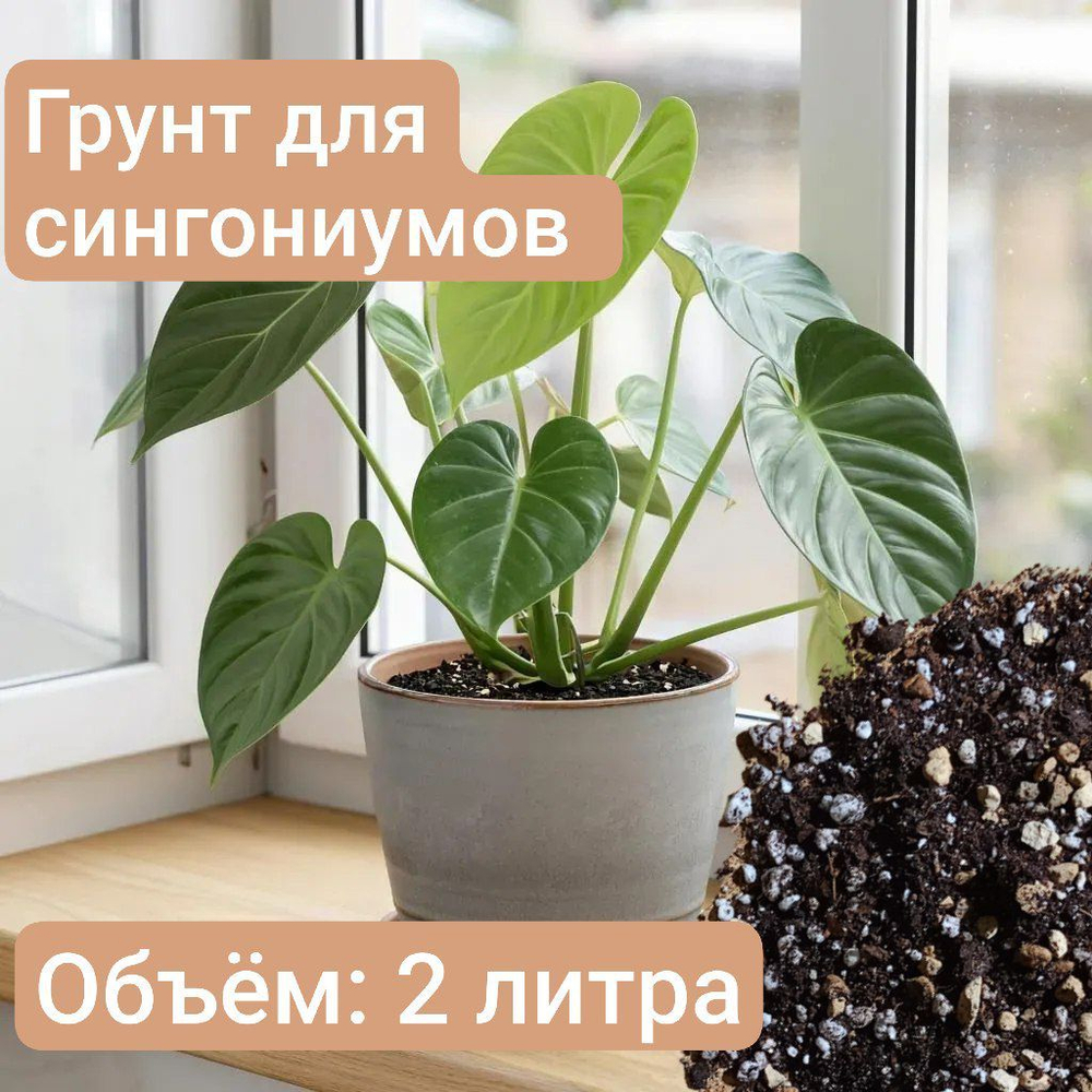 Авторский грунт для Сингониумов 2 литра