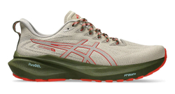 Кроссовки Asics GT-2000 13 TR