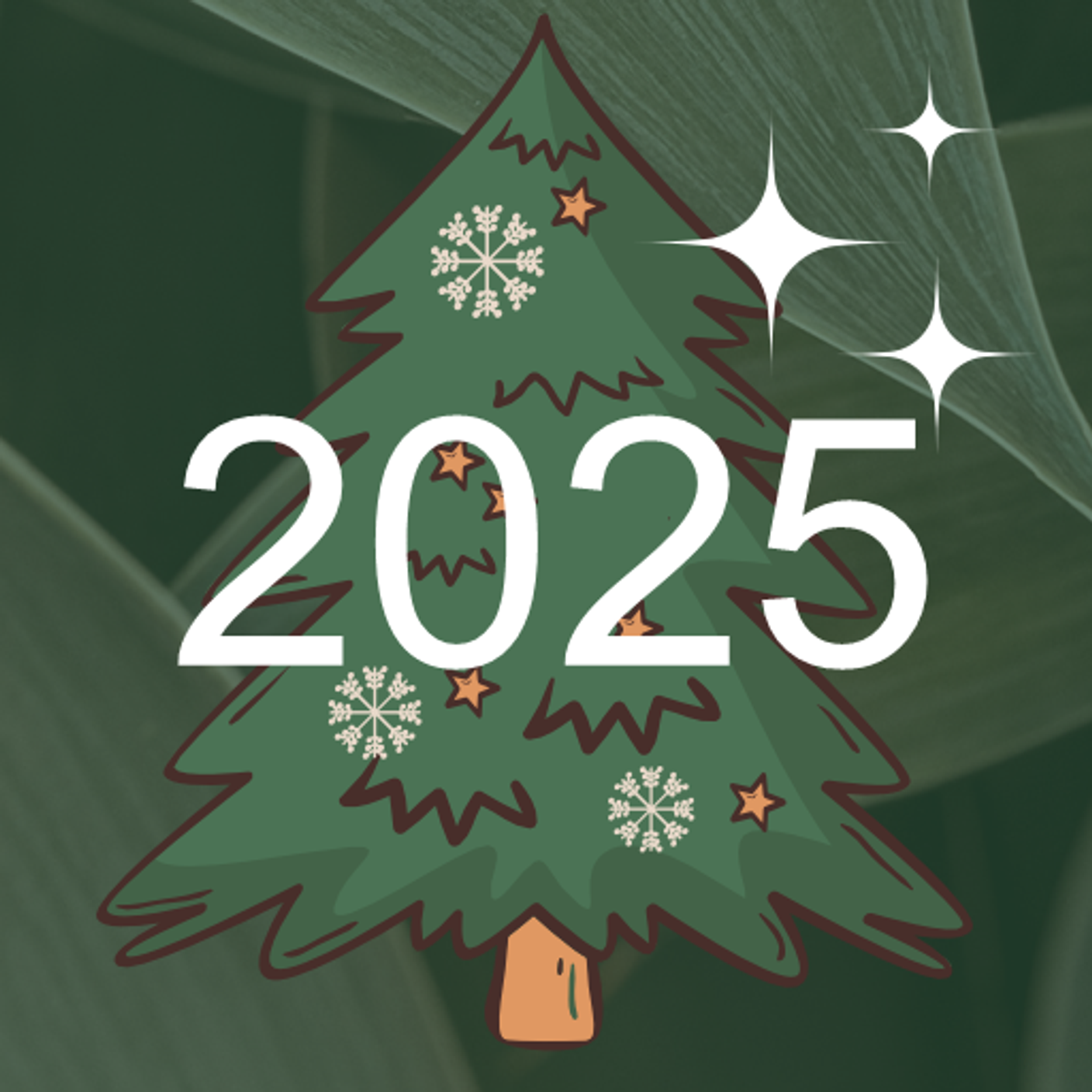 С новым 2025 годом!
