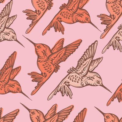 hummingbirds orange pink