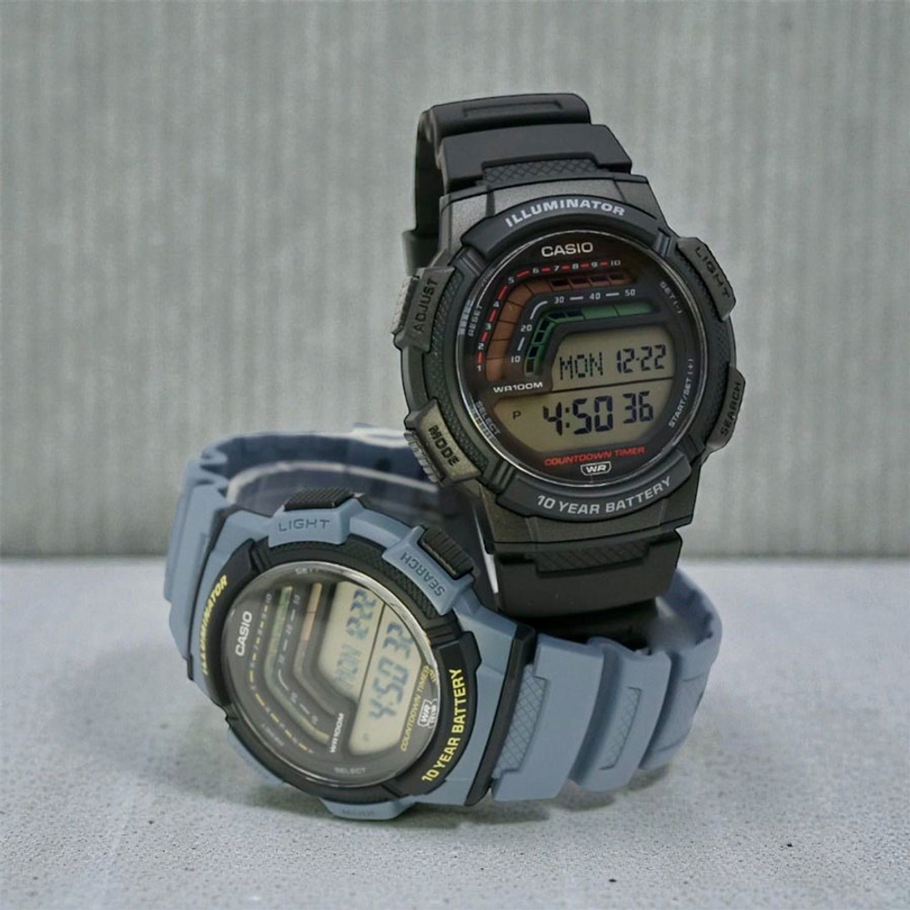 Мужские наручные часы Casio WS-1800-1A