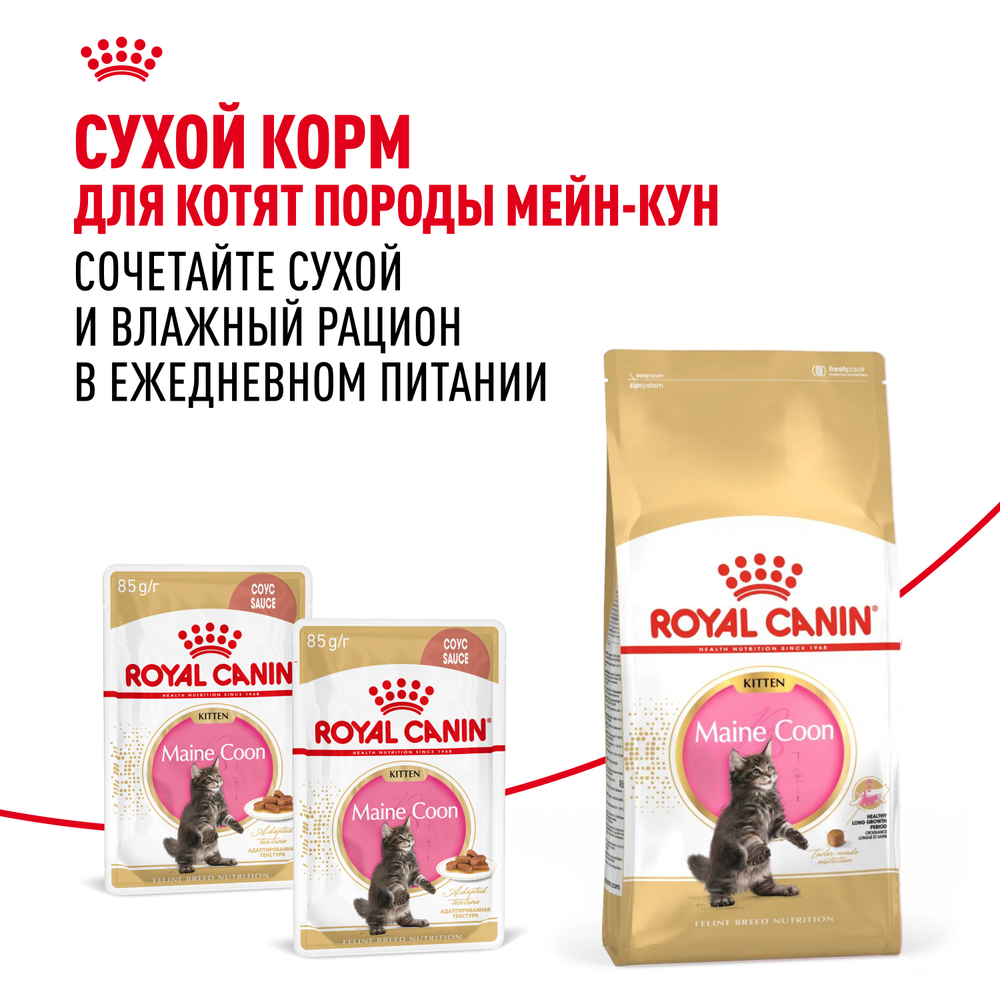 Royal Canin Maine Coon Kitten Мейн Кун Киттен Корм влажный для котят породы Мэйн Кун в возрасте до 15 месяцев соус 85г