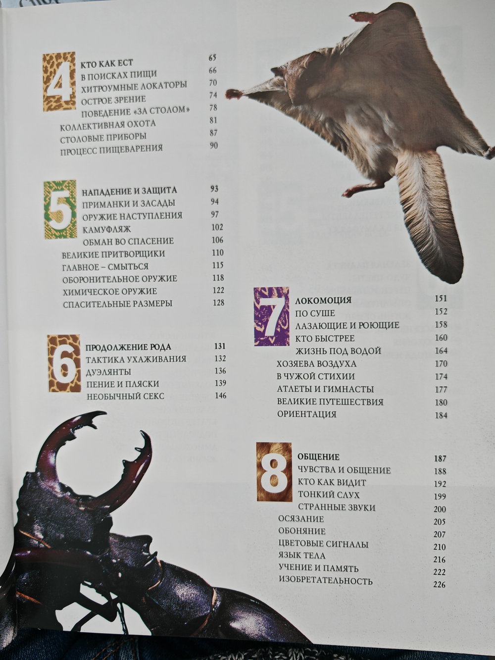 1000 чудес природы