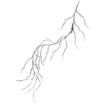 Гирлянда для дома «Ветка» 2,3 м, 144 лампы LED, коричн.провод, пост.свечение, USB, IP-20, Теплый белый