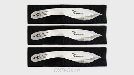 Throwing knives set "Khishnets" (set of 3)