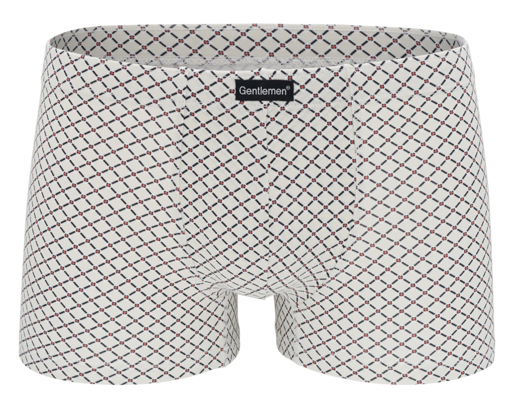 Мужские трусы-шорты с рисунком-сеткой (Размер: XXL)