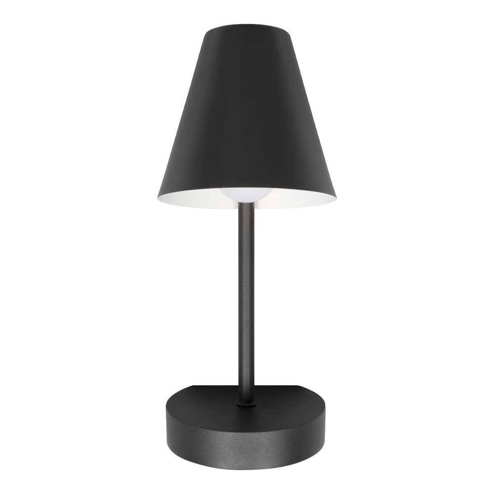 Светильник Настенный Shelf Loft It Black 10216/1W