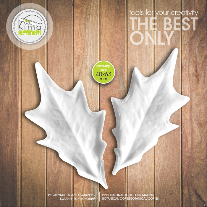 Падуб (остролист)