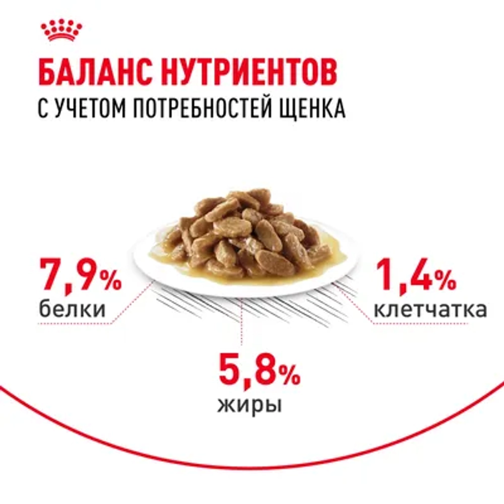 ROYAL CANIN Mini Puppy Корм консервированный для щенков мелких пород в возрасте до 10 месяцев, кусочки в соусе, 85 г