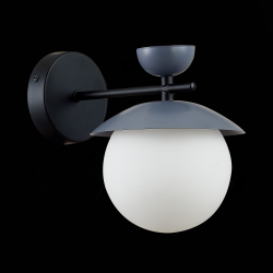 Светильник настенный Evoluce Genova SLE220201-01