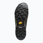 Ботинки La Sportiva TX4 Evo GTX carbon/bamboo