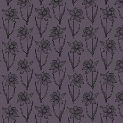 Нарцисс графика