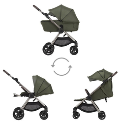 Детская коляска Anex IQ Premium 2 в 1 richi