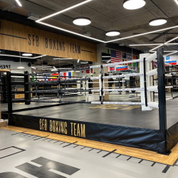 Боксерский ринг на помосте 0,35/0,5м